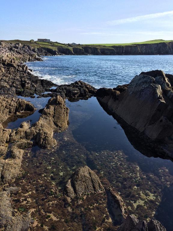Sandycove House Bed & Breakfast Bed & Breakfast Castlehaven Eksteriør bilde