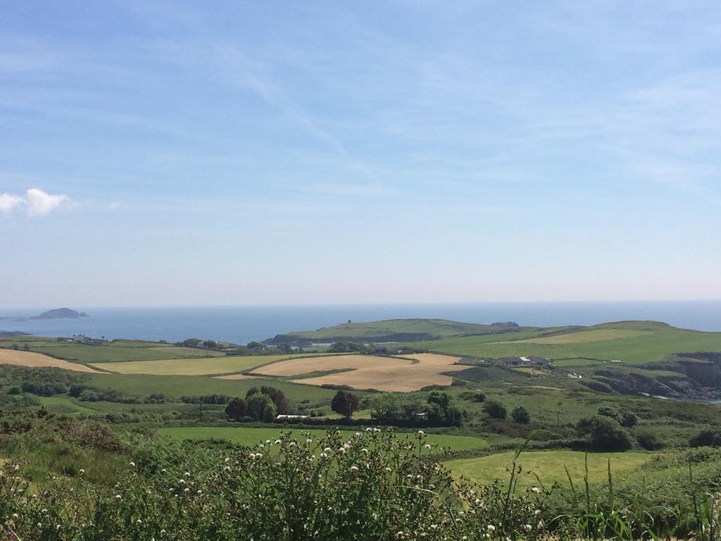 Sandycove House Bed & Breakfast Bed & Breakfast Castlehaven Eksteriør bilde