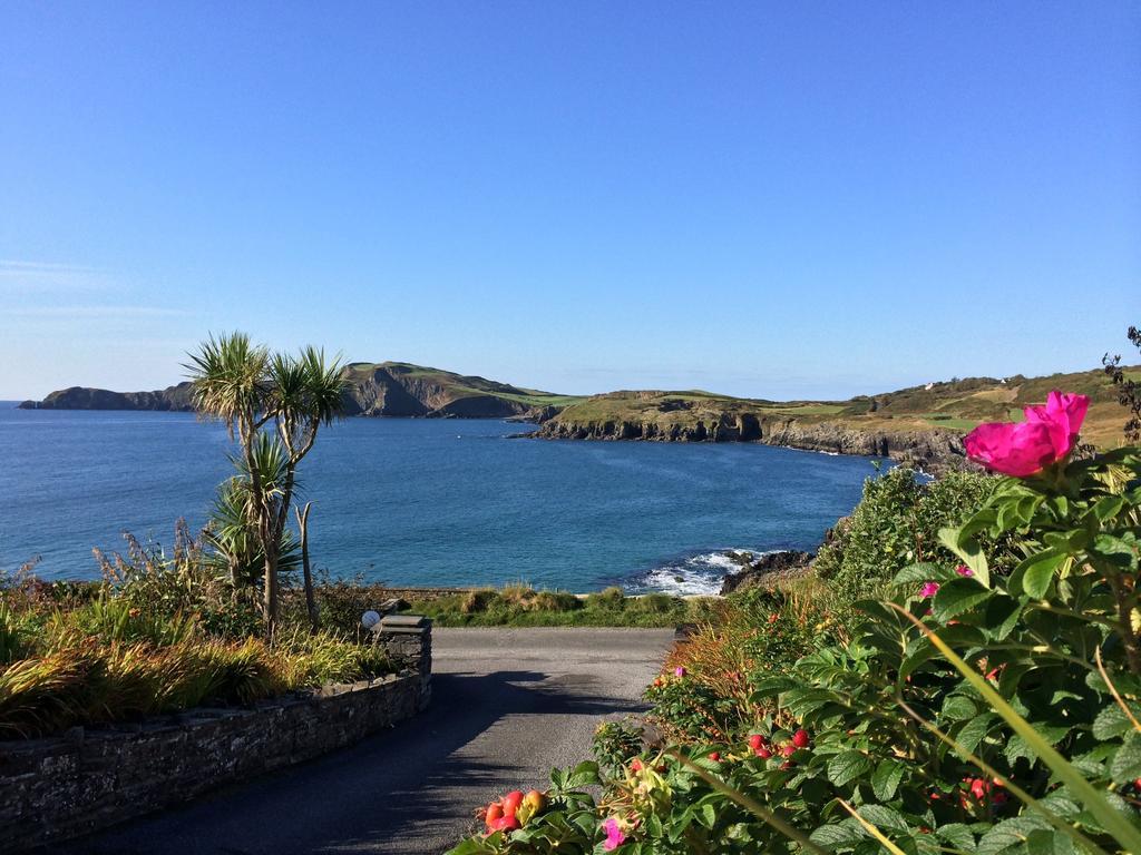 Sandycove House Bed & Breakfast Bed & Breakfast Castlehaven Rom bilde